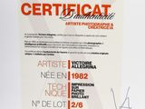 Photo 2/2 du lot