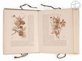 an open book with a drawing of a plant on it
