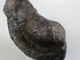 a rock that is sitting on top of a glass stand
