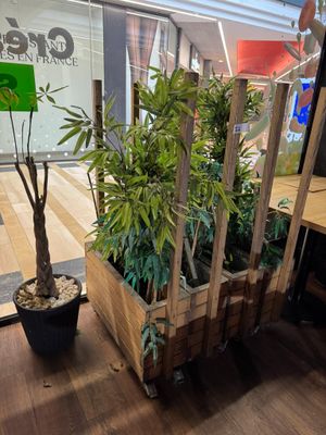 une plante qui se trouve dans une caisse en bois posée par terre