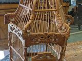 une cage à oiseaux posée sur une table dans un salon