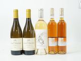 plusieurs bouteilles de vin sont alignées sur une surface blanche