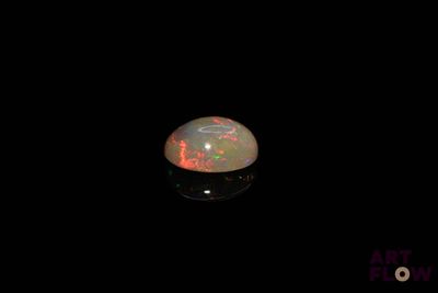 l'image d'un oplite blanc dans l'obscurité