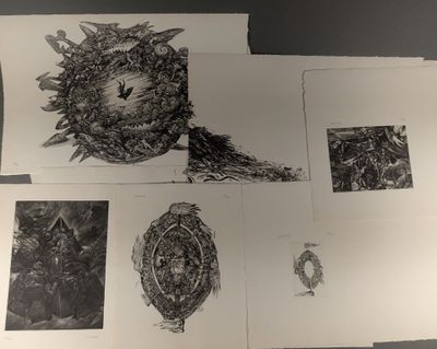 plusieurs dessins en noir et blanc représentant un oiseau et une tortue