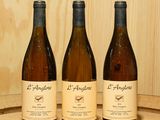 trois bouteilles de vin posées sur un tonneau en bois