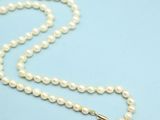 a close up of a pearl necklace on a blue surface
