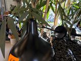a black vase sitting on top of a cardboard box