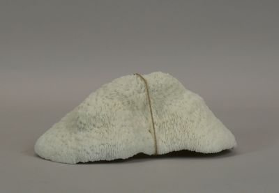 a small piece of white material on a table
