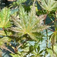 Destockage & Invendus