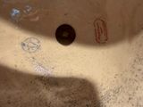 Photo 11/20 du lot