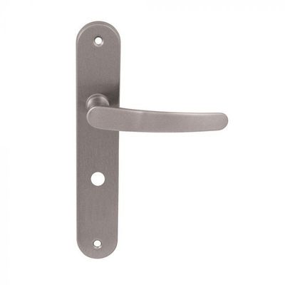 Poignée de porte - Béquille double sur plaque longue - Finit…