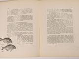 an open book with a drawing of two fish on it
