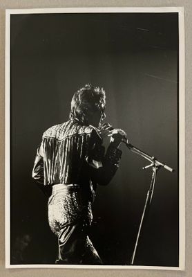Lionel Royer. Alain Bashung au Grand Rex, le 5 février 1987.