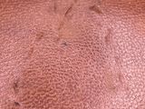 an old brown leather wallet with a small hole in the middle of it