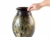 une main tendue vers un vase contenant une plante