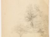 a drawing of a tree in the middle of a field