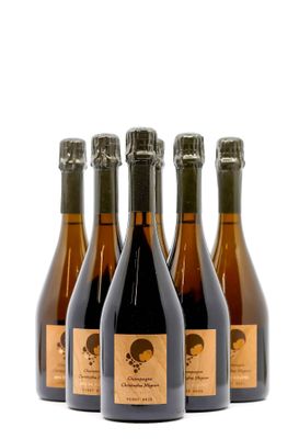 six bouteilles de vin sont alignées sur une surface blanche