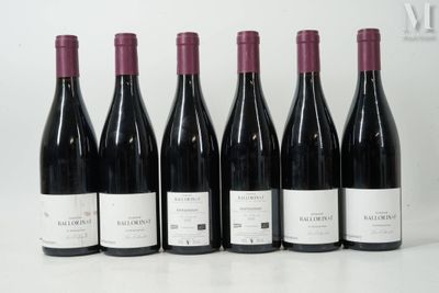 six bouteilles de vin sont alignées sur une table