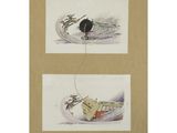 two drawings of a man on a boat and a man on a surfboard