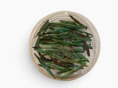 dried green beans in a bowl on a white surface