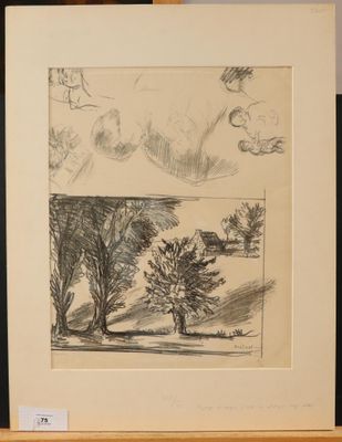 un dessin en noir et blanc représentant un arbre dans un champ