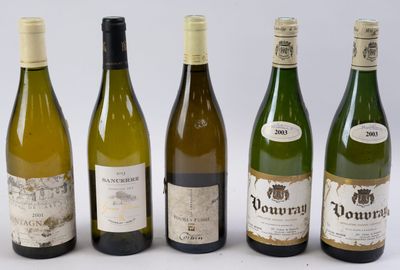 six bouteilles de vin sont alignées sur une surface blanche