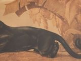 a large black dog laying on the floor next to a palm tree