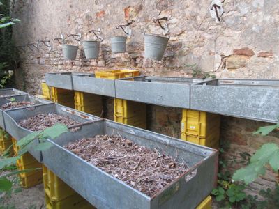 de nombreux seaux posés contre le mur d'un immeuble