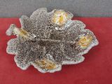 a silver plate with a flower on it on a red table