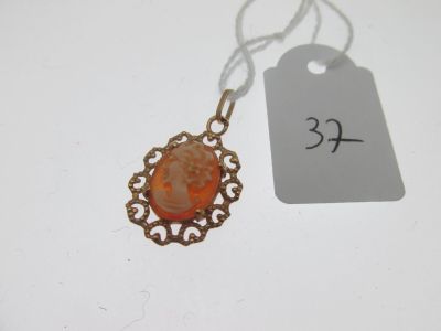 gros plan d'un collier auquel est attachée une étiquette