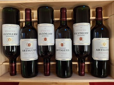 6 Bouteilles Pauillac Château Artigues 2017 SCE du Château Plantey mis