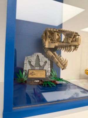 l'exposition d'un squelette de dinosaure dans une vitrine