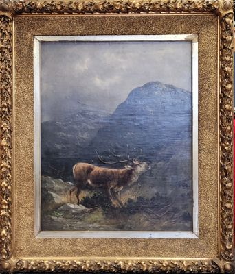 MÜLLER Moritz Junior (1868 Münich - 1934 Dresde), Le brame d…