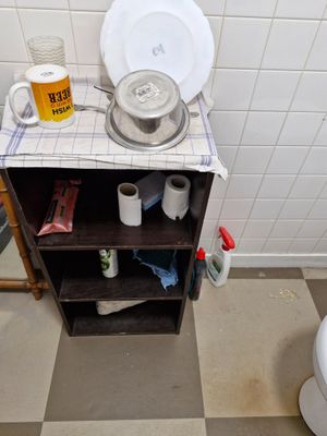 a bathroom with a sink, toilet, and a shelf in it