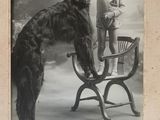 photographie en noir et blanc d'un garçon debout à côté d'un grand chien