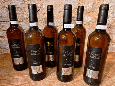 6 Blanc sec 2016 Antoine Perretti Gaillac - Photo 1