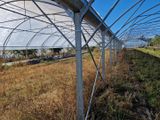 une grande serre où poussent de nombreuses plantes