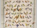 de nombreux oiseaux perchés sur un fil tendu le long du mur