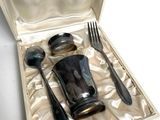 a silverware set in a case with a spoon and fork