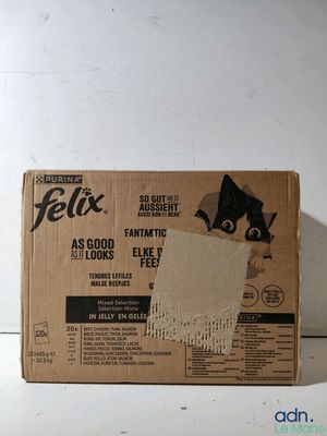une boîte de papier toilette d'où sort un chat