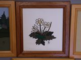three framed pictures of flowers on the wall