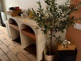 a plant that is sitting on a table in a room