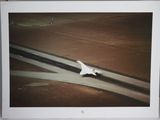 a picture of a white bird flying over a road