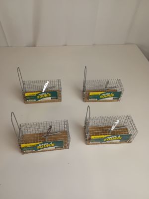 quatre cages à oiseaux contenant des oiseaux, posées sur une table blanche