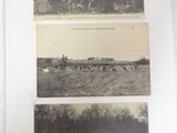 deux vieilles photos en noir et blanc représentant des personnes et des animaux dans un champ