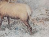 a painting of a sheep standing in a field