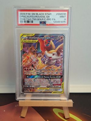 "Cartes Pokémon – Dracaufeu et Roussil GX