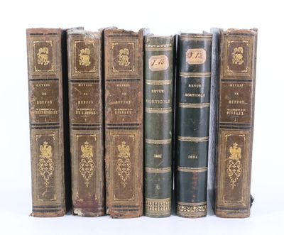 plusieurs vieux livres sont alignés sur une surface blanche