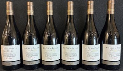 6 bouteilles de Clos de Paulilles, Collioure, Cuvée Jules Pams, 2016 - Photo 1