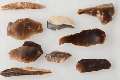 several pieces of fish and other items on a white surface